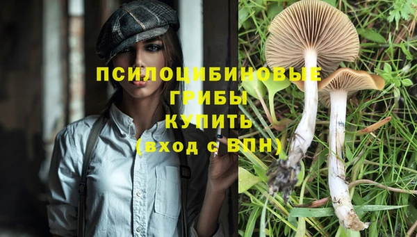 герыч Алексеевка